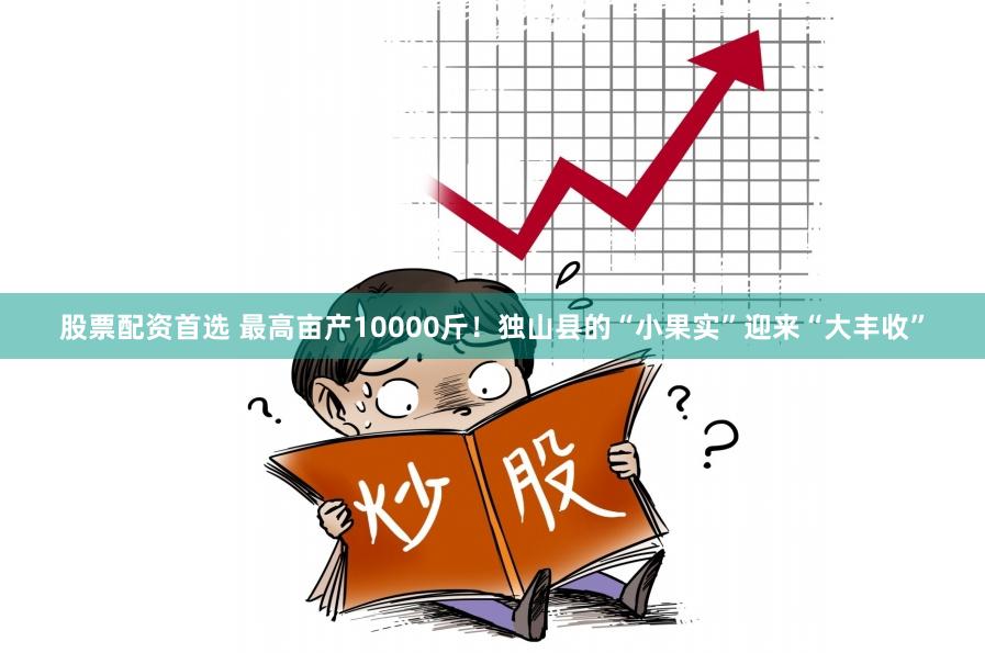 股票配资首选 最高亩产10000斤！独山县的“小果实”迎来“大丰收”