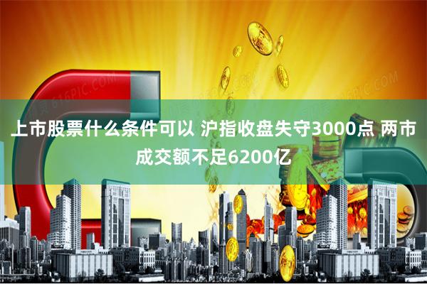 上市股票什么条件可以 沪指收盘失守3000点 两市成交额不足6200亿