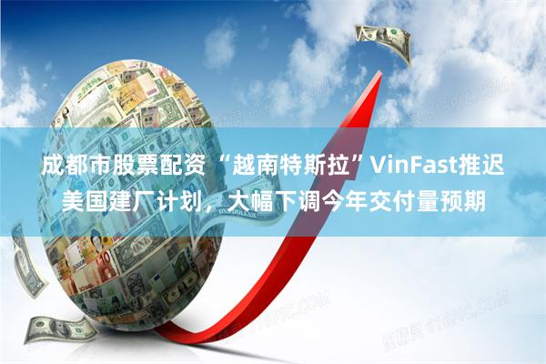 成都市股票配资 “越南特斯拉”VinFast推迟美国建厂计划，大幅下调今年交付量预期